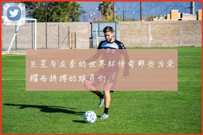 巨星与龙套的世界杯传奇那些为荣耀而拼搏的球员们